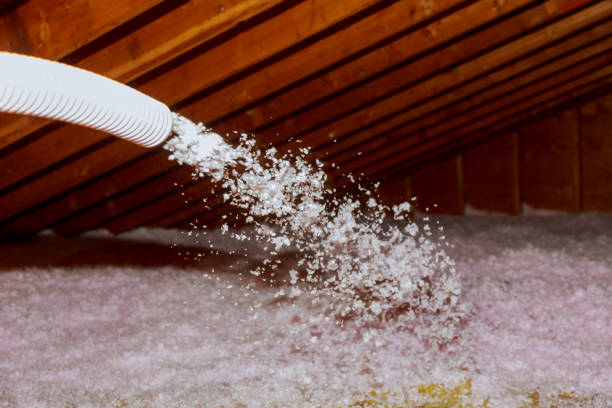 Best Insulation Installation Services in Piney Point Village, TX